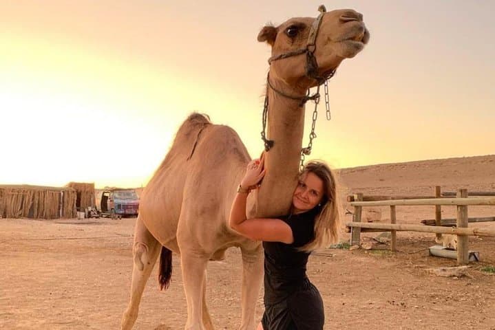 Sunset Camel Ride in Agafay Desert near Marrakech