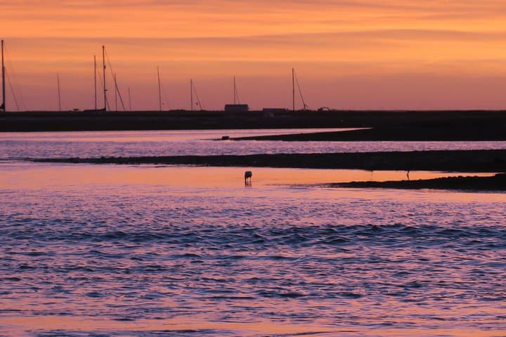 Sunset Boat Tour to Ilha Deserta in Ria Formosa (Faro) photo 5