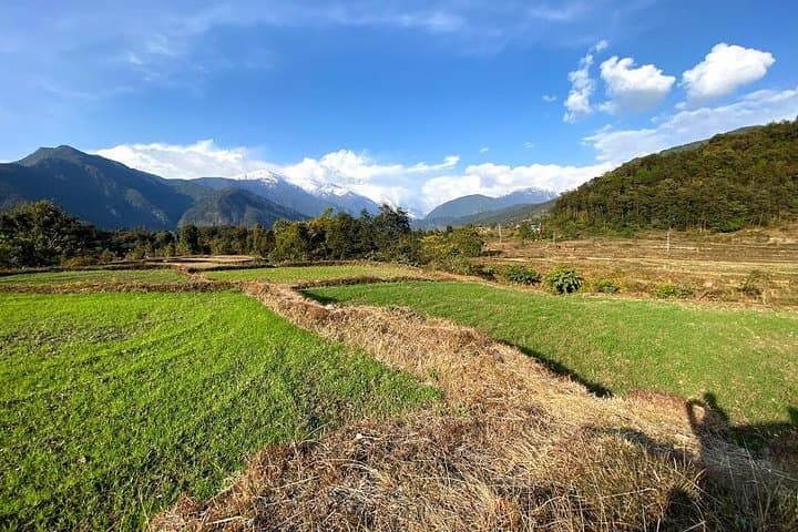 Pokhara Ridge & Lake: Full-Day Private Landscape Drive with Annapurna Views photo 4
