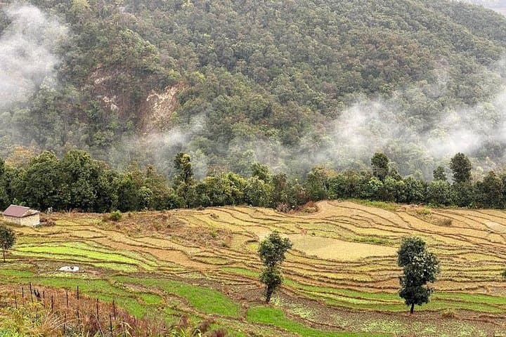 Pokhara Ridge & Lake: Full-Day Private Landscape Drive with Annapurna Views photo 5