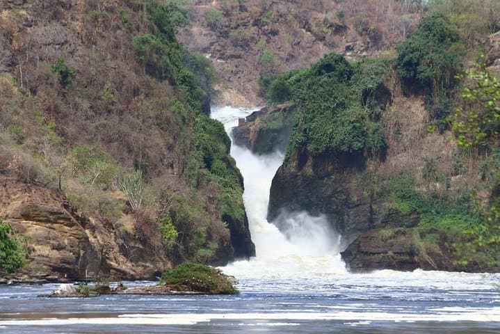Murchison Falls Nature Safari: Nile Launch, Game Drives & Rhino Tracking
