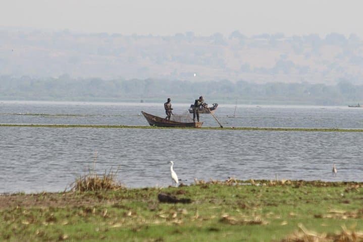 Murchison Falls Nature Safari: Nile Launch, Game Drives & Rhino Tracking photo 5