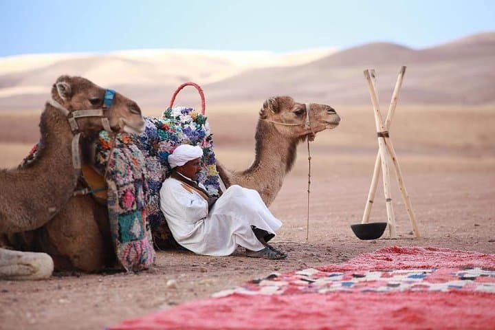 Agafay Desert Camel Ride from Marrakech — 1-Hour Trek & Berber Tea