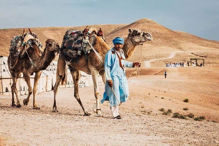 Agafay Desert Camel Ride from Marrakech — 1-Hour Trek & Berber Tea photo 5