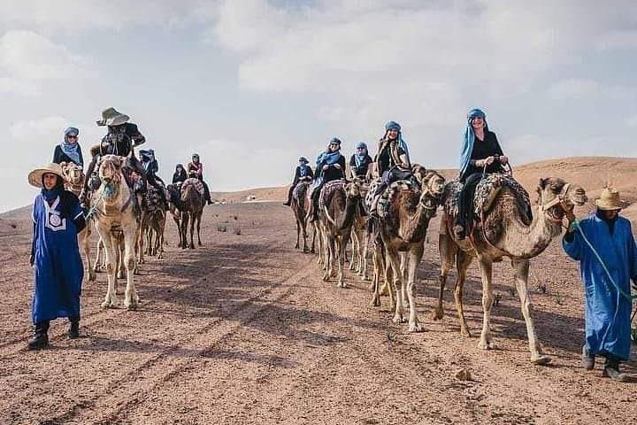 Agafay Desert Quad Biking and Camel Ride Adventure from Marrakech photo 5