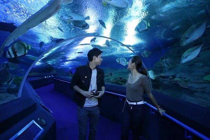 Underwater World Pattaya: Aquarium Admission with Return Transfer — What to Expect photo 4