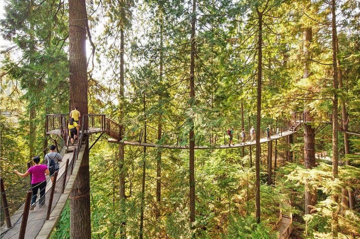 Private Vancouver Tour: Stanley Park, Capilano Suspension Bridge & Grouse Mountain photo 6