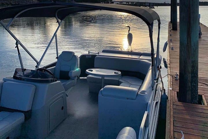 3-Hour Hilton Head Pontoon Rental: Skull Creek, May River & Daufuskie Island photo 6