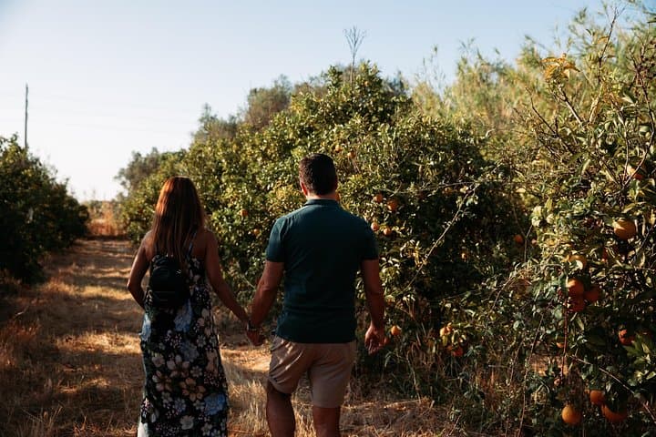 Tasting Algarve: Orange Groves, Medronho and Fóia Panorama photo 4