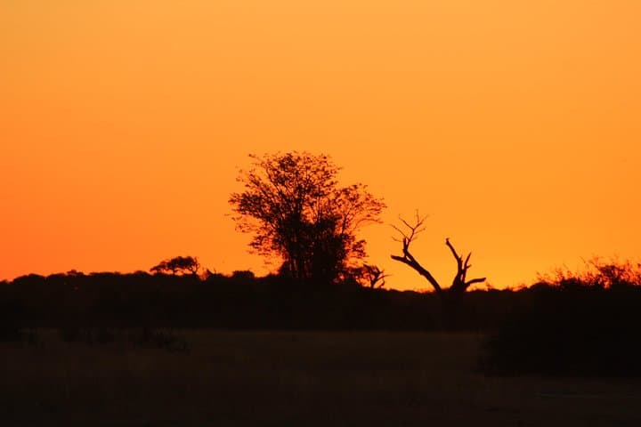 Savuti Mobile Camping Safari: 4-Day Wild Botswana Game-Drive Adventure photo 2