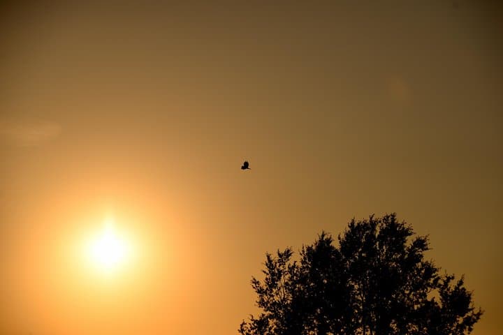 Sunset in the Apennines: Evening Lights and Forest Sounds near Florence photo 2