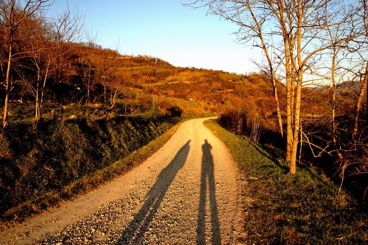 Sunset in the Apennines: Evening Lights and Forest Sounds near Florence photo 4