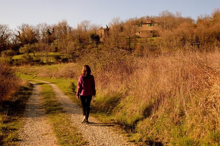 Sunset in the Apennines: Evening Lights and Forest Sounds near Florence photo 5
