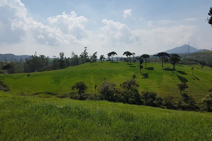 Day Tour of Nuwara Eliya: Tea Estates, Ramboda Falls & Gregory Lake in One Day photo 4