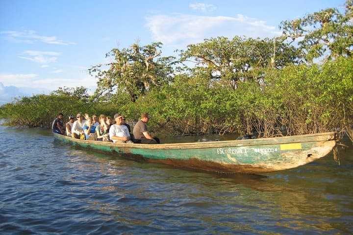 4-Day Cuyabeno Amazon Jungle Program — Wildlife, Canoes & Indigenous Culture