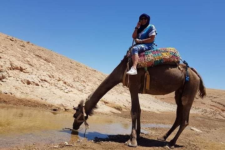 Agafay Desert Quad and Camel Ride with Dinner — Day Trip from Marrakech