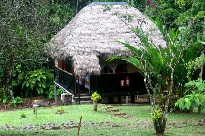 Cuyabeno Reserve: 5-Day Amazon Lodge Program with Community Visits & Wildlife photo 2