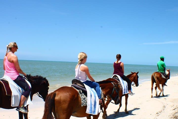 Half-Day Beach Horseback Riding in Ocho Rios with Lunch at Scotchies photo 4