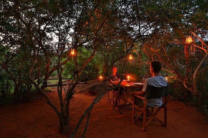Overnight Private Yala Safari: Luxury Tented Camping & Night Game Drives photo 5
