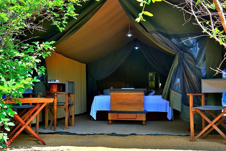 Overnight Private Yala Safari: Luxury Tented Camping & Night Game Drives photo 6