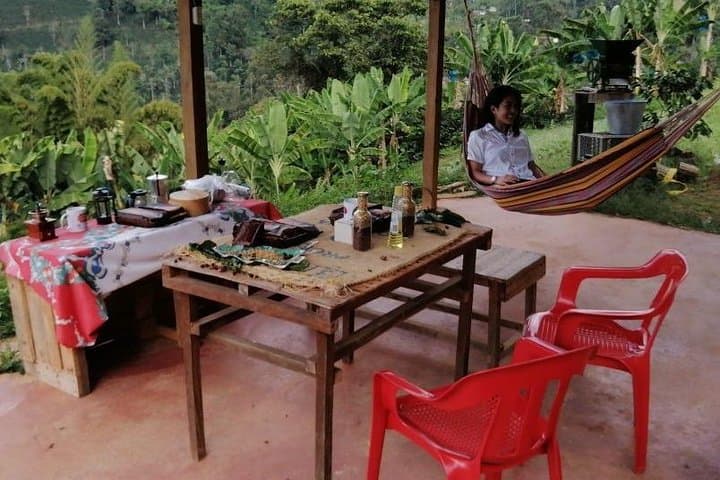 Private Coffee Tour in Jardín, Antioquia — Jeep Willys, Waterfall & Coffee Farm photo 3