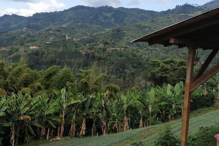 Private Coffee Tour in Jardín, Antioquia — Jeep Willys, Waterfall & Coffee Farm photo 4