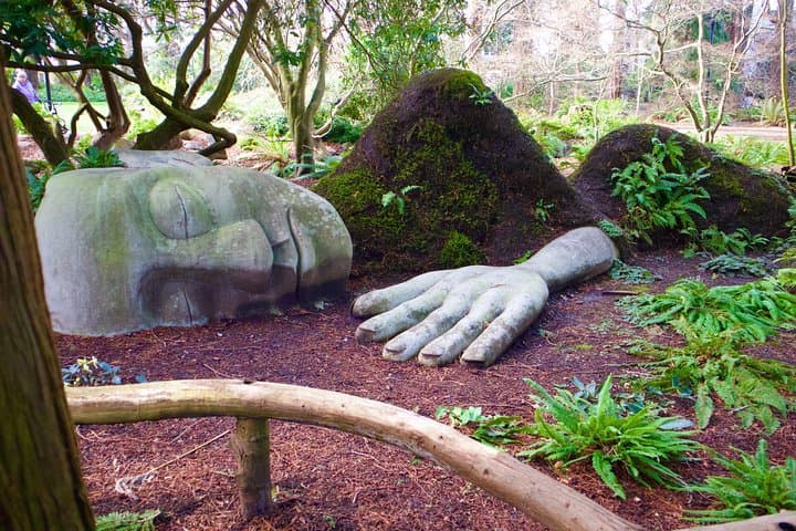 Essence of Victoria Private Tour: Nature, History & Coastal Sights photo 3