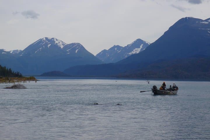 Upper Kenai River Full-Day Guided Fishing Trip — Cooper Landing Rainbow Trout & Salmon photo 5