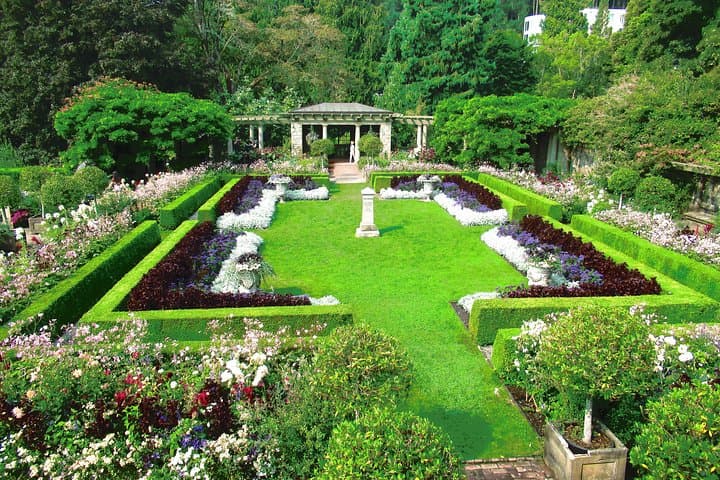 Essence of Victoria Private Tour: Nature, History & Coastal Sights photo 6