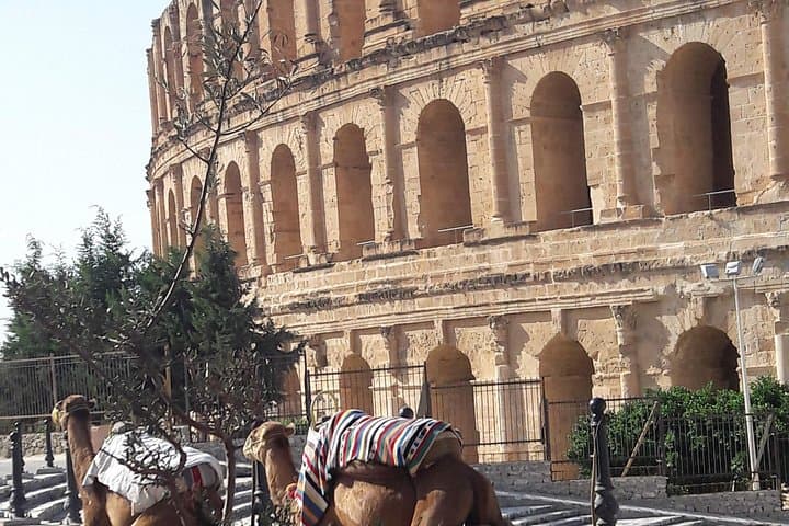 8-Day Private Sahara Star Wars Tour — Tozeur, Douz & Desert Oases photo 3