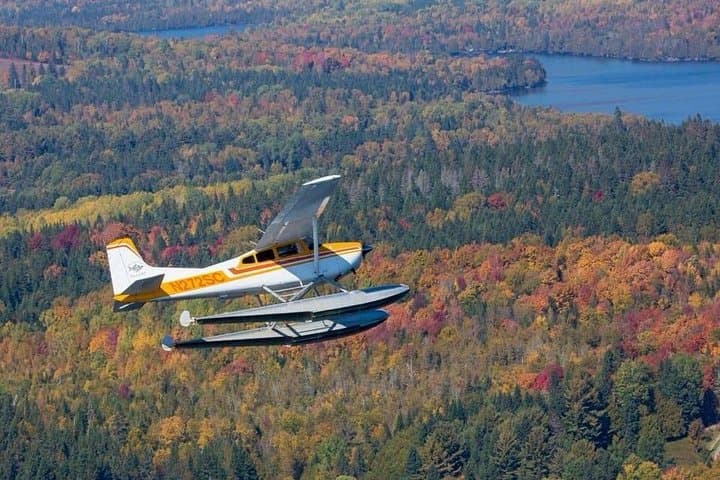 Rangeley Lakes Seaplane Tour — Moose, Mountains & Mirror Lakes