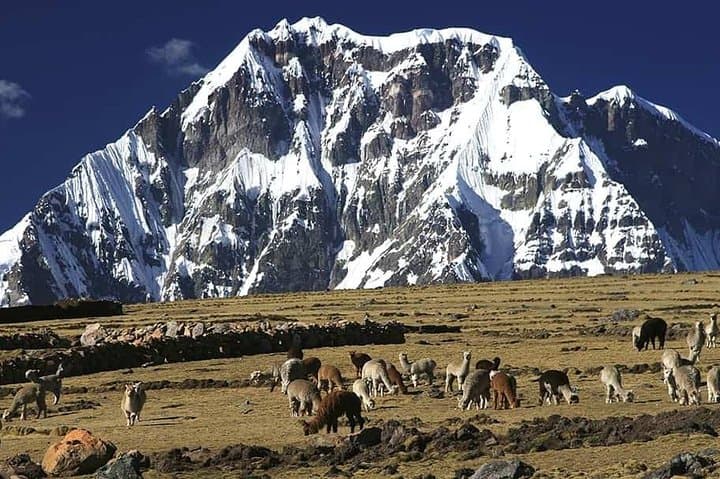 Ausangate Trek: 5-Day High-Altitude Circuit to Rainbow Mountains & Glacial Lakes photo 4