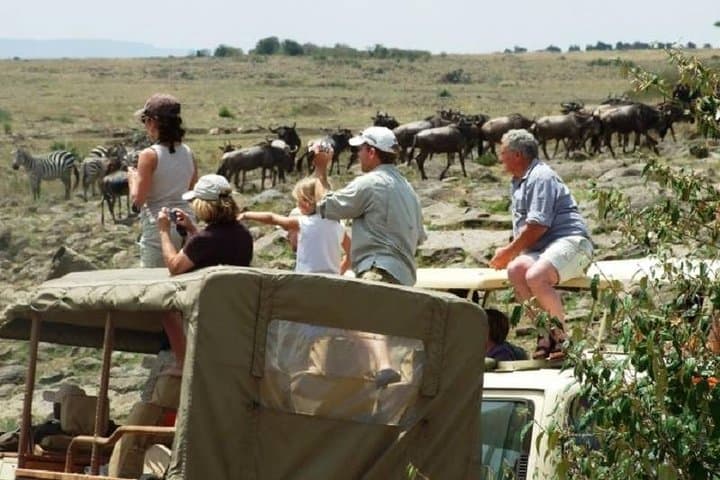 3-Day Maasai Mara Safari: Big Five & Wildebeest Migration Adventure photo 2