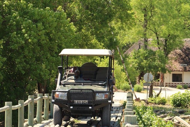 8-Day Moremi & Chobe Mobile Safari with Mokoro and Boat Cruises