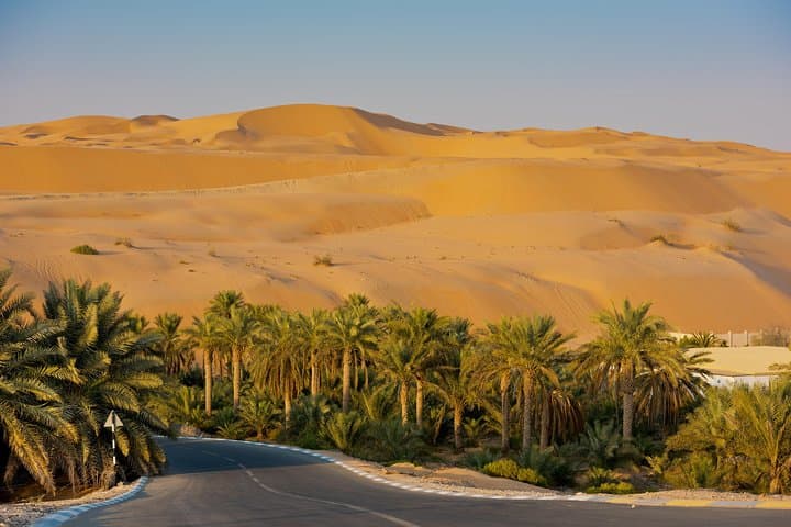 Explore Liwa: Full-Day Rub' al Khali Desert Safari from Abu Dhabi photo 3