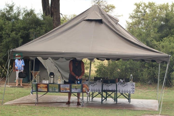 8-Day Moremi & Chobe Mobile Safari with Mokoro and Boat Cruises photo 2