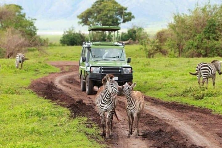 2-Day Selous Game Reserve Safari from Zanzibar or Dar es Salaam