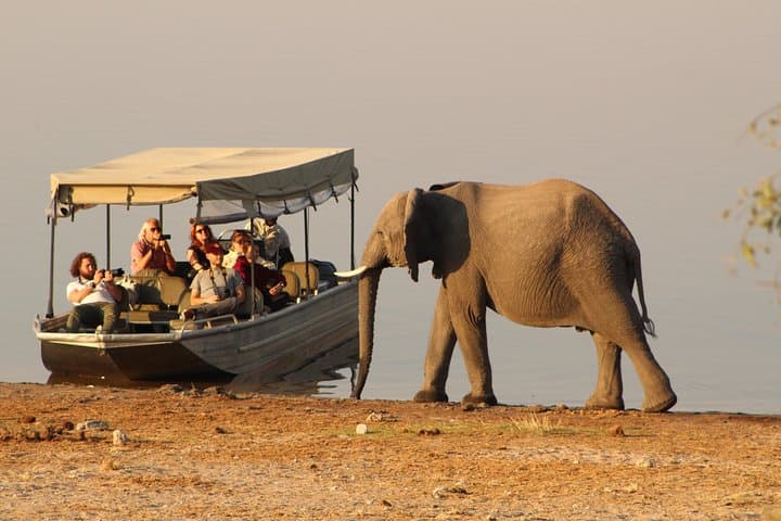 Chobe Full-Day Safari: Game Drive and Boat Cruise from Kasane