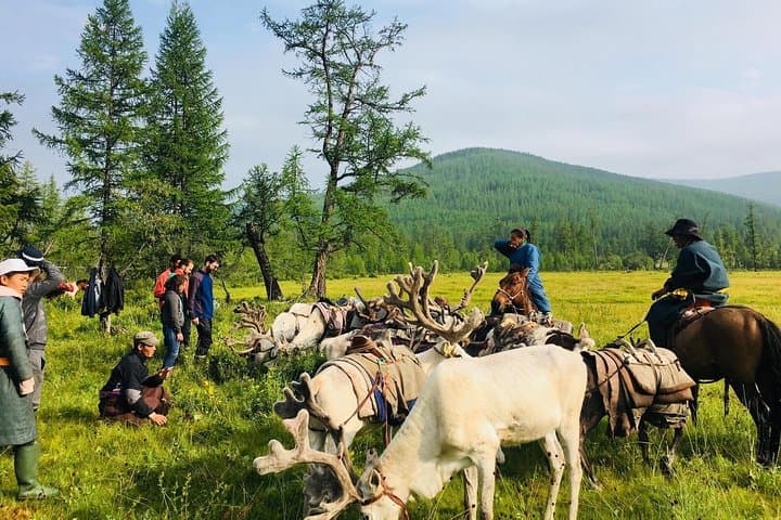 Wonders of Northern Mongolia: 15-Day Khuvsgul & Tsaatan Reindeer Herders Journey