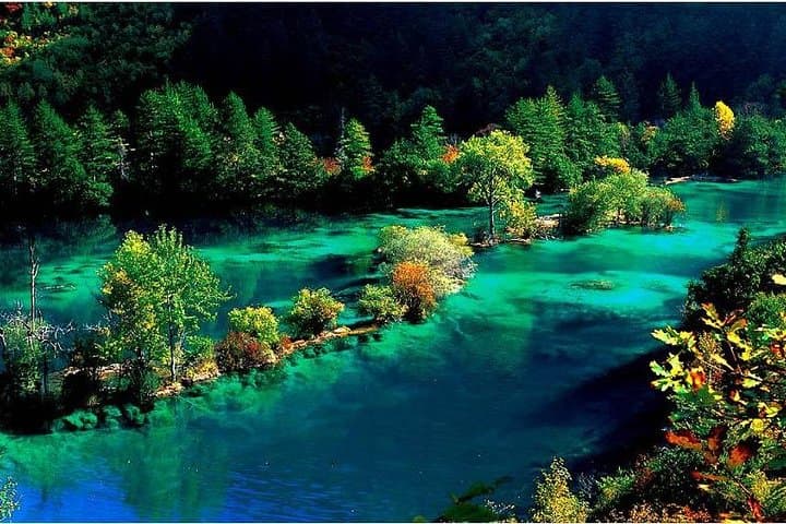 3-Day Chengdu to Jiuzhaigou and Huanglong Flight Tour: Pandas, Colored Lakes & Travertine Terraces photo 5