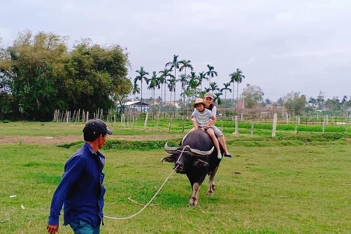 Hoi An Countryside Tour: Village Life, Basket Boats & Pottery Workshop photo 3