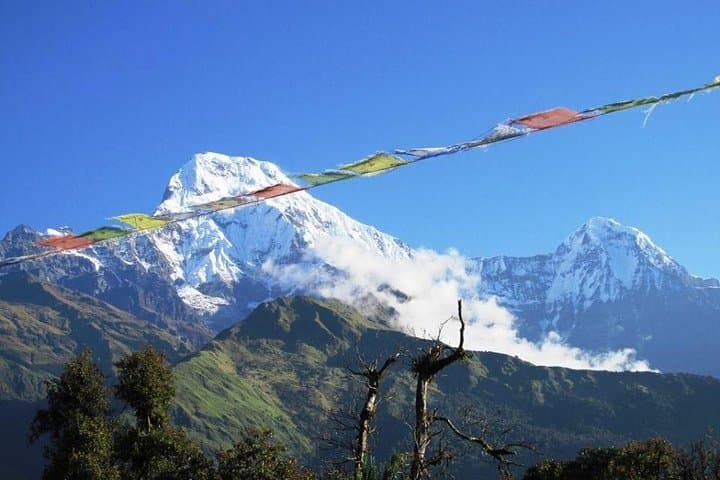 Poon Hill Trek: Sunrise Over Annapurna & Rhododendron Trails photo 3