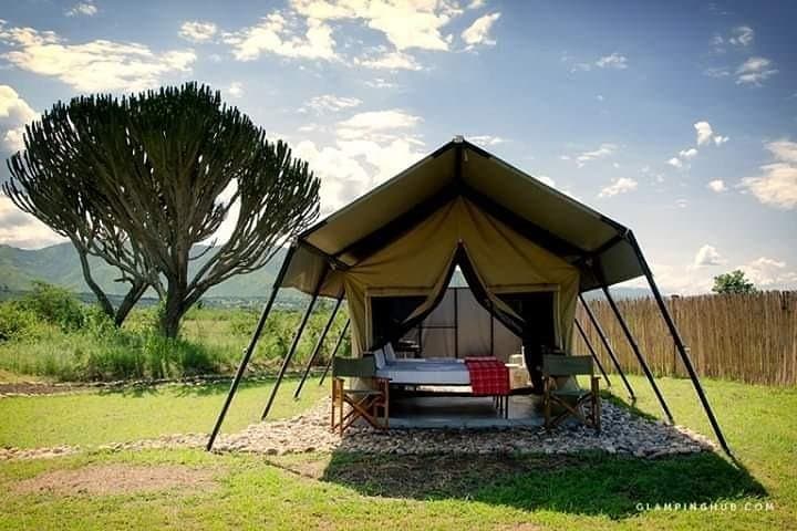 Luxury Tanzania Safari: Serengeti, Ngorongoro & Maasai Cultural Stay photo 3