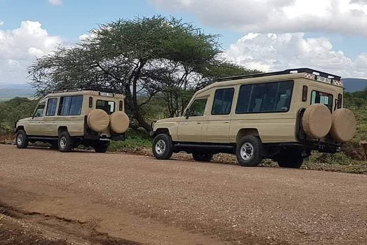 Luxury Tanzania Safari: Serengeti, Ngorongoro & Maasai Cultural Stay photo 4