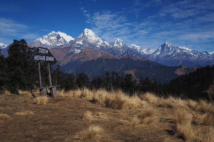 Mohare Hill Private Guided Trek — 10-Day Annapurna Sunrise Trek from Pokhara photo 1