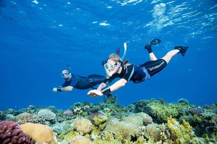 Try Freediving in the Cyclades: Private SSI Intro Course (Up to 5 m) photo 2