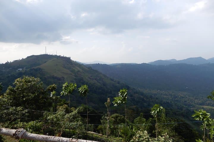Pansalthanna Ridge Trek: 6km Tea-Plantation Hike Near Matale, Sri Lanka photo 3
