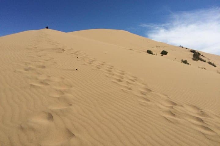 Altyn Emel Singing Dune Day Trip from Almaty: Hike the Sand That Sings photo 2