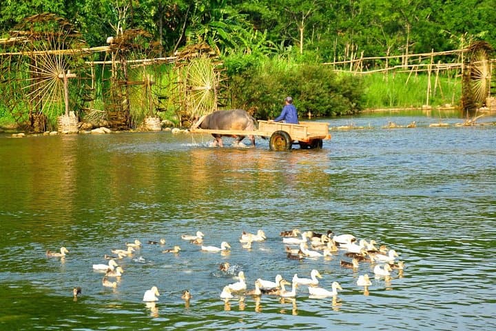 Pu Luong 2-Day Trek & Eco-Retreat from Hanoi — Rice Terraces, Villages & Caves photo 4