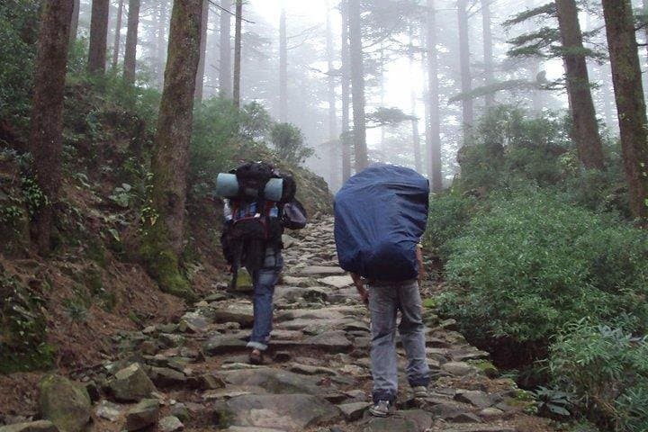 Guna Devi Temple Hike from McLeodganj: A Day Trek into the Kangra Hills photo 2